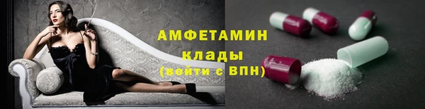винт Абаза