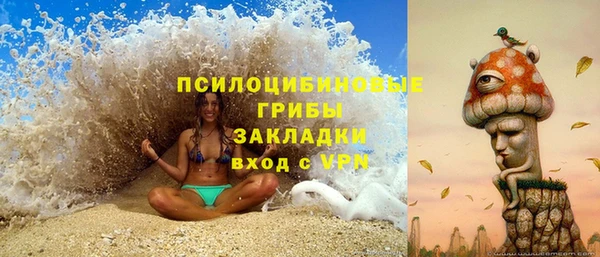 винт Абаза