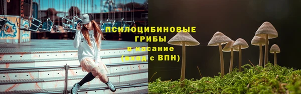 a pvp Приозерск