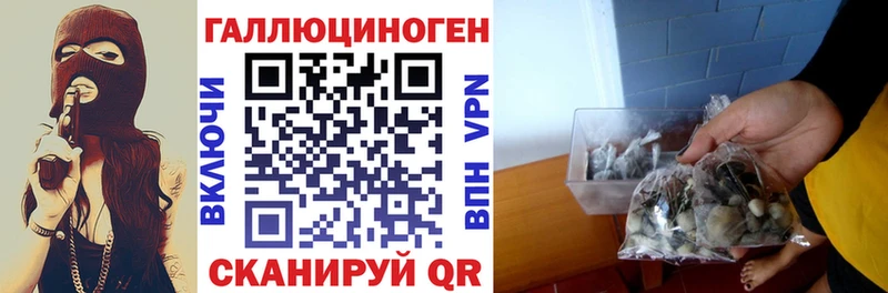 Псилоцибиновые грибы мухоморы  сколько стоит  MEGA сайт  Балахна 