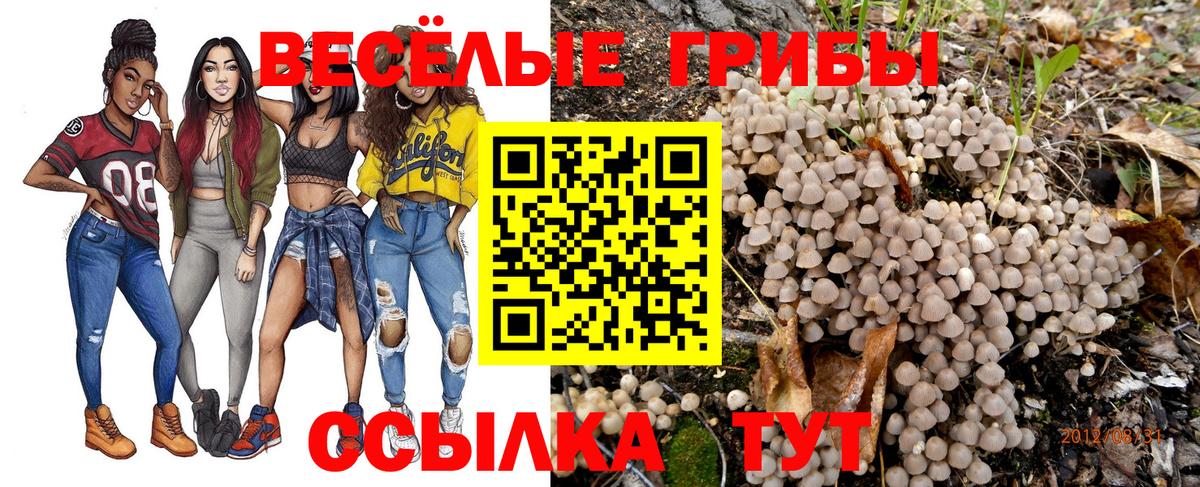 цена   Галлюциногенные грибы MAGIC MUSHROOMS  Вход с VPN  Псилоцибиновые грибы Psilocybe  Балахна 